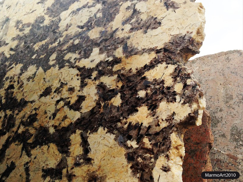 granito butterflyellow