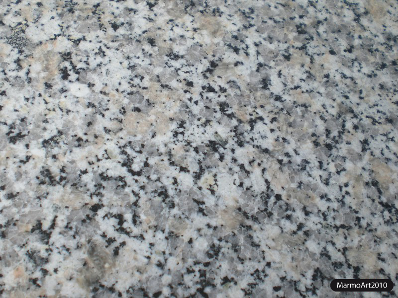 grigiosardo